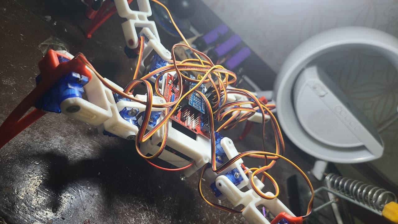 spider robot